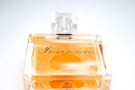 Men's Fragrances - ribigifts